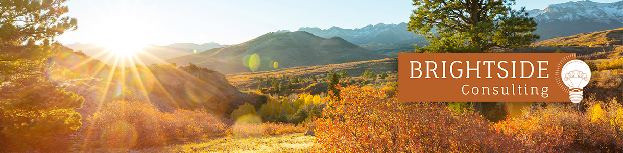 Brightside Consulting